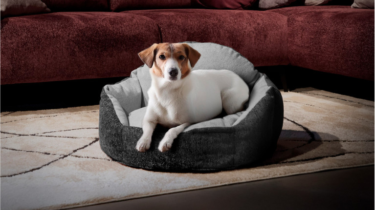 Panier pour chien MICKEY | Nid douillet en tissu bouclette beige